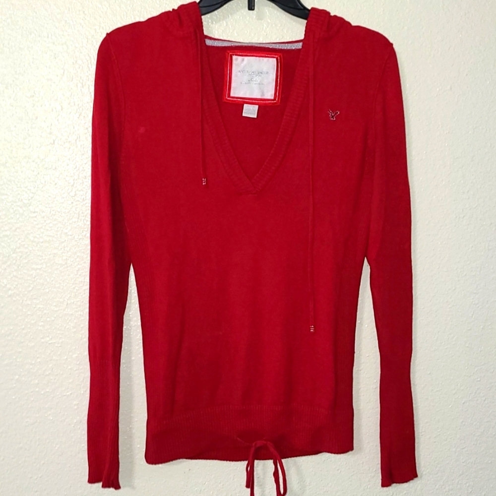 American Eagle Hooded Sweater